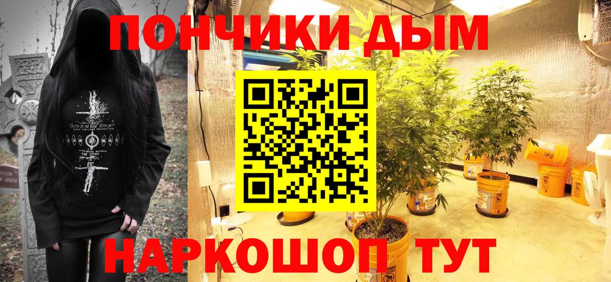 Бошки Шишки план Архангельск